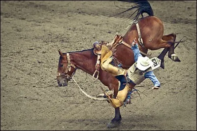 Stampede, le festival du rodéo - Des shows impressionnants, des parades, une musique country et un défilé de la police montés durant une semaine attirent des milliers de passionnés. Des concerts sont organisés et de nombreuses personnalités sont présentes. Où ce festival se tient-il ?