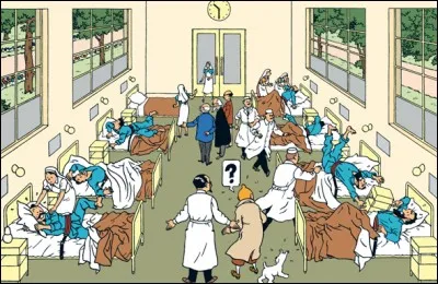 Cette image apparaît dans 'Tintin...