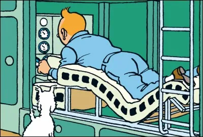 Cette image apparaît dans 'Tintin...
