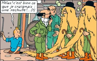 Cette image apparaît dans 'Tintin...