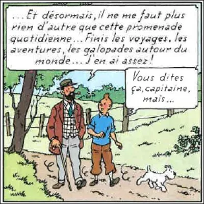 Cette image apparaît dans 'Tintin...