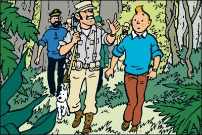 Cette image apparaît dans 'Tintin...
