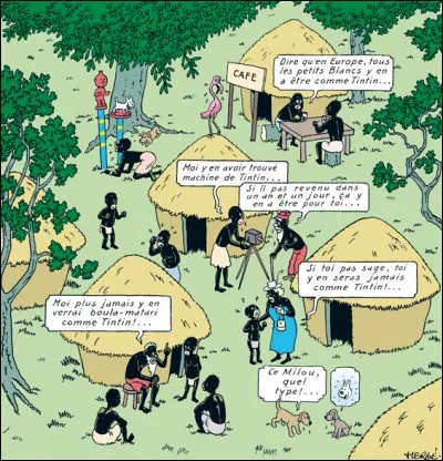 Cette image apparaît dans 'Tintin...