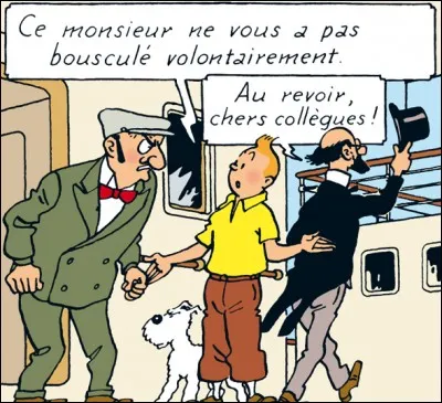 Cette image apparaît dans 'Tintin...