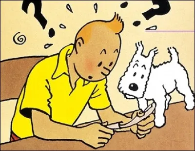 Cette image apparaît dans 'Tintin...