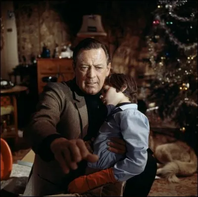 Un enfant, touché par les radiations issues d'une bombe, n'a plus que quelques mois à vivre. Ce film de Terence Young réunit William Holden, Bourvil et Virna Lisi. Quel est son titre ?