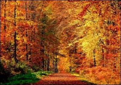 La chanson sugg&eacute;r&eacute;e par l'illustration est interpr&eacute;t&eacute;e par :