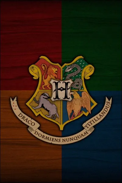 Quand il était élève à Poudlard, dans quelle maison était-il ?