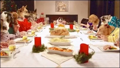 Quel animal se trouve tout au bout de la table ?