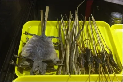 Le L&eacute;zard s&eacute;ch&eacute; : Croquant et croustillant ce met n'a pas de go&ucirc;t sp&eacute;cial. Il est consomm&eacute; en grignotage ou en soupe. Il aurait des vertus amaigrissantes et m&eacute;dicinales. O&ugrave; le consomme-t-on ?