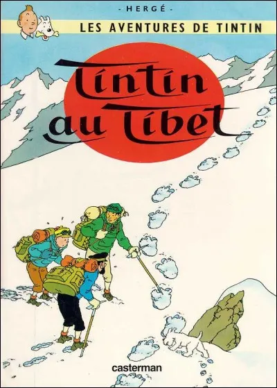 Pour quel ami Tintin s'inquiète-t-il lors d'un crash d'avion au Tibet ?