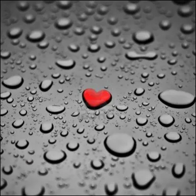 Il conjuguait le verbe aimer dans sa chanson "Je t'aimais, je t'aime, je t'aimerai" :