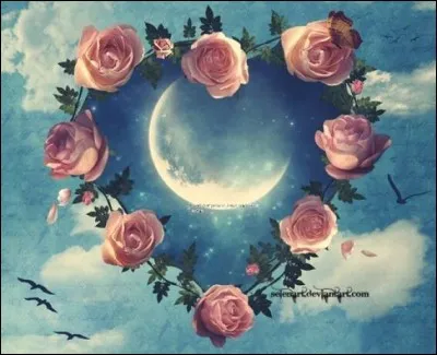 Il chantait "Toi la fille qui m'a aimé, je t'ai trop fait pleurer" :