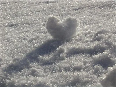 Il chantait "Oublie que je l'aime"