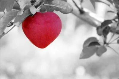 Qui chantait "Mon cur te dit je t'aime, il est perdu sans toi" ?