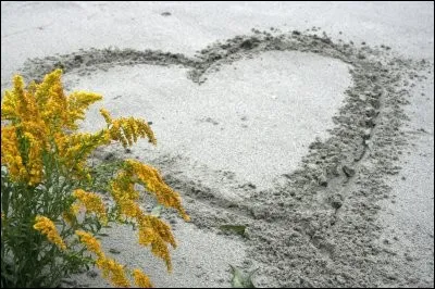 Il chantait : "On aime comme on a été aimés" :