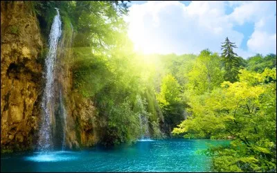 Petit rongeur adapt&eacute; au saut.