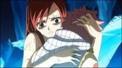 Quel est le plat préféré d'Erza ?