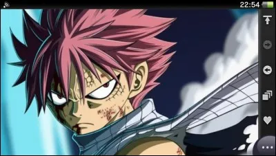 Natsu aime et finit avec :