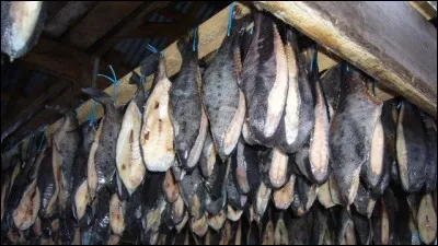 Le requin faisandé : C'est une recette plutôt originale : On tue le requin, on l'enterre dans le sol 5 mois, le temps que la chair se putréfie et une fois chose faite, on le laisse sécher encore quelques mois, avant de la déguster. Mais où ?