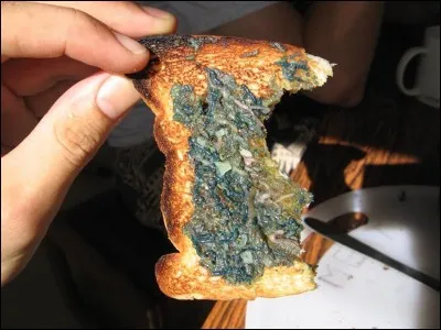 Les vers Palolo : Ce sont de petits vers qui peuvent atteindre jusqu'à 30 cm. Ils sont mangés vivants, frits dans le beurre ou cuits dans un four d'arbre à pain. Dans quelles îles les déguste-t-on ?