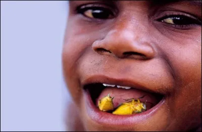 Des punaises : C'est un mets très populaire surtout auprès des enfants qui adorent les sentir se balader dans leur bouche. Leur goût serait proche des graines de tournesol. Où se délecte-t-on de ces bestioles?