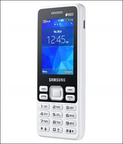 Quelle sorte de téléphones préfèrent les personnes âgées ?