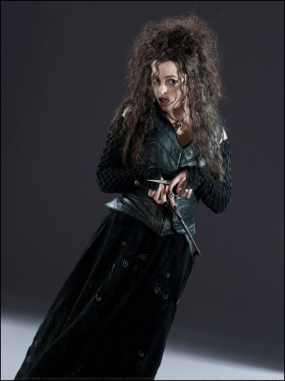 Qui la personne que Bellatrix voulait empêcher veut-elle aller voir ?