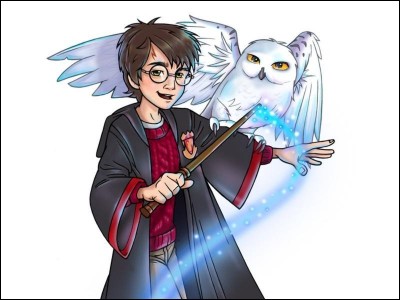 Quel est le nom entier de Harry Potter ?