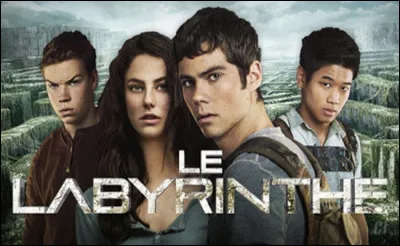 Qui est l'auteur de la saga "Le Labyrinthe" ?