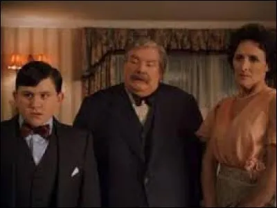 Pourquoi la famille Dursley n'aime-t-elle pas Harry ?