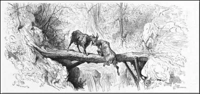 Complète la morale de cette fable de Jean de la Fontaine intitulée « Les deux chèvres : « Faute de reculer, leur chute fut commune, toutes deux tombèrent  »