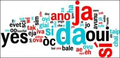 Quelle langue n'est pas l'une des 11 officielles de l'Afrique du Sud ?