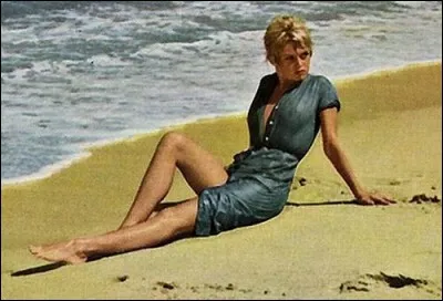 On the deserted beach, shell and shellfish ...