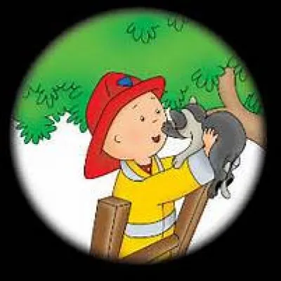 Quel est ce dessin animé ?