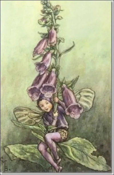 Quelle est cette fée un peu empoisonnante ?