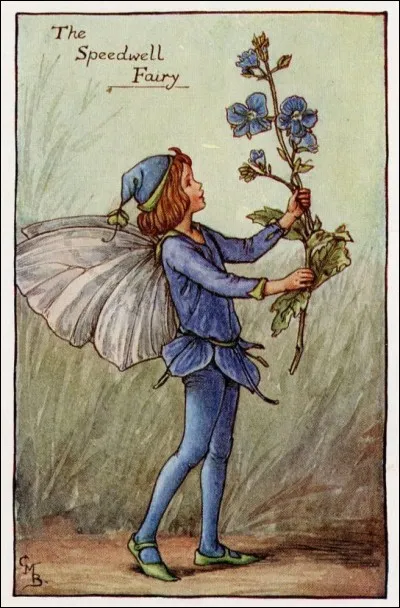 Quel est le nom de cette fée aux couleurs de l'azur ?