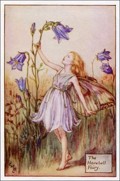 Que sont ces fleurs dont cette fée pleine de légèreté, porte le nom ?