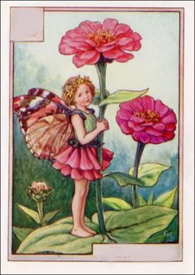 Sous ses ailes de papillon, quel nom porte celle-là ?