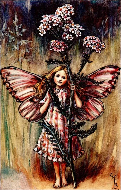 Prête à s'envoler, qui est celle-ci ?