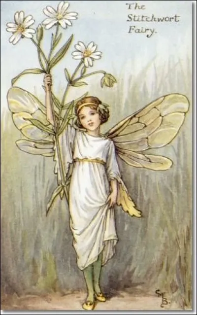 Elle ressemble à un ange, quel est le nom de cette charmante fée ?