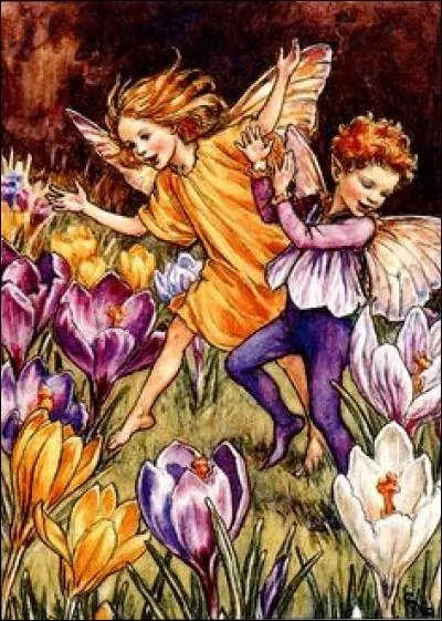 Que sont ces fleurs printanières ?