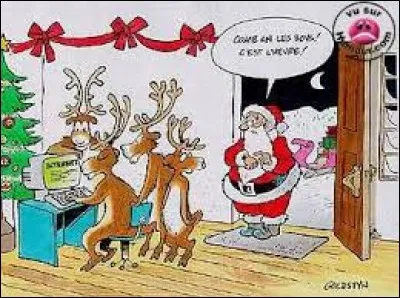 Quel spectacle les écureuils vont-ils voir à Noël ?