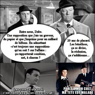 Il ne « faut pas prendre les enfants du bon Dieu pour des canards sauvages » en entendant « le Cri du cormoran le soir au-dessus des jonques » sinon, « elle cause plus... elle flingue » et deviendra « une veuve en or » ! Cette phrase devrait vous donner le nom de l'auteur de cette citation : 
« L'alcool ne procure pas la gaieté mais la cirrhose ».
Qui est ce grand du cinéma ?