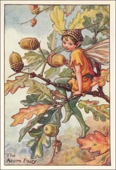 Sur quel arbre est assis ce lutin ?