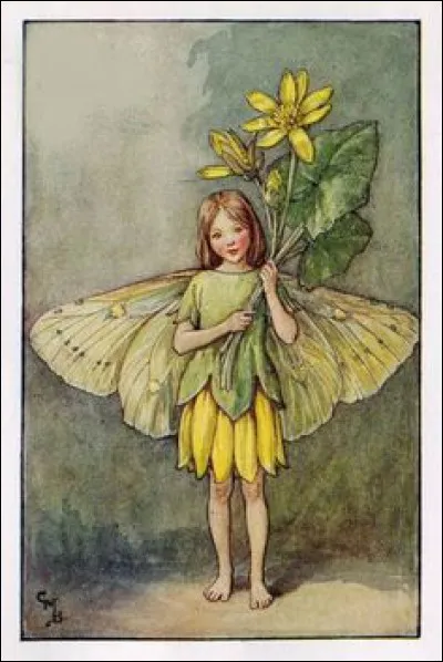 Voilà un bien joli nom pour cette fée, vêtue de jaune !