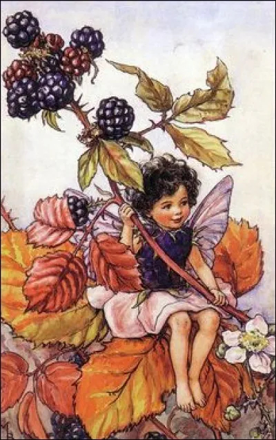 La petite fée s'est installée sur un arbre (ou arbuste) qui ne manque pas de piquant !