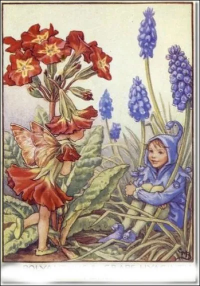 Que sont ces fleurs bleues ?