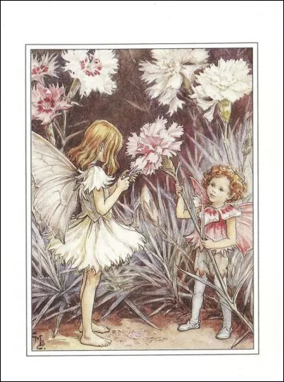 Vous allez reconnaître celles-ci :