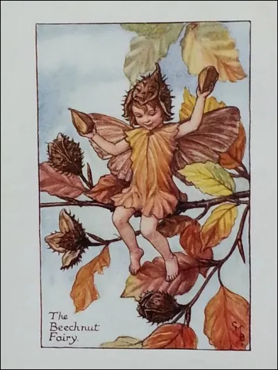 Cette fée s'expose au milieu de bien jolis fruits qui pourraient pousser sur un hêtre :